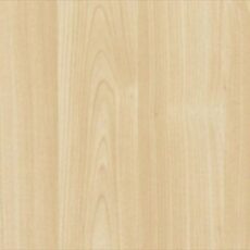 Maple