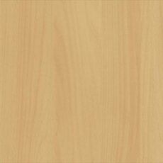 Tirol beech