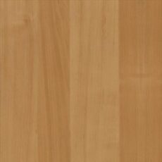 Alder, light
