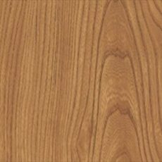 Red elm