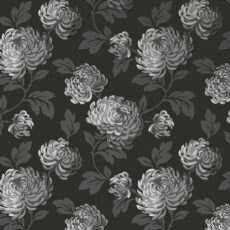 Bloom 13889