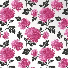 Bloom 13890